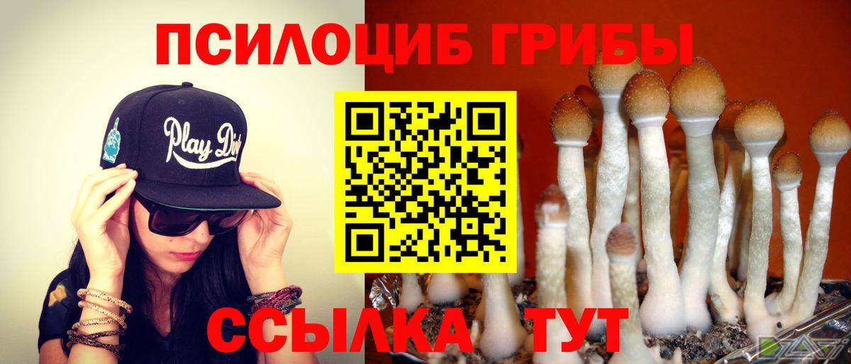 Псилоцибиновые грибы Psilocybe  Галлюциногенные грибы Psilocybe  Междуреченск  Вход с VPN 